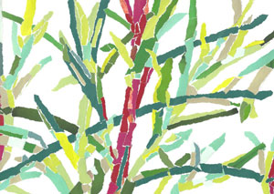twiggy plant
