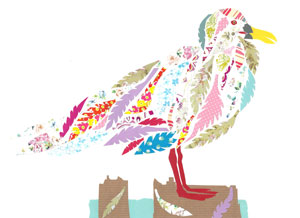 seagull