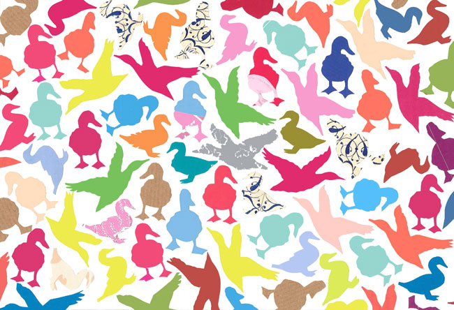 ducks