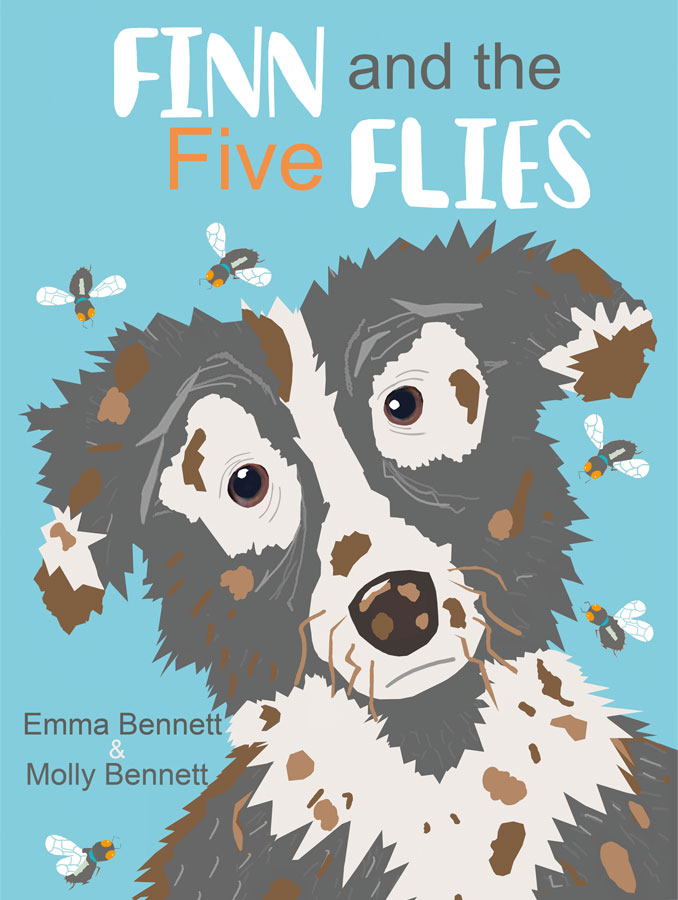 Finn and the Five Flies