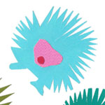 hedgehogs