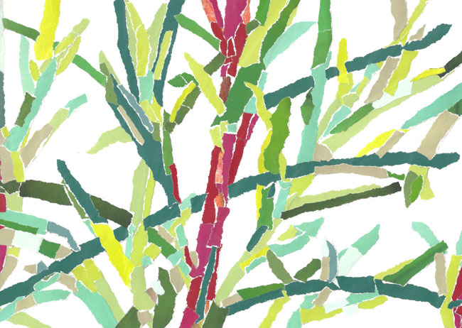 plant picture
