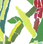 plant picture