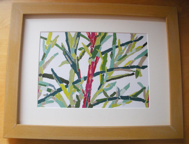 plant picture